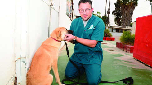 ד"ר משה גיפס־פסקר: "סטרס גבוה יכול לפגוע בכלב"