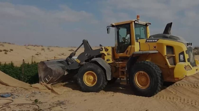 השמדת שדות המריחואנה בשטחי אש